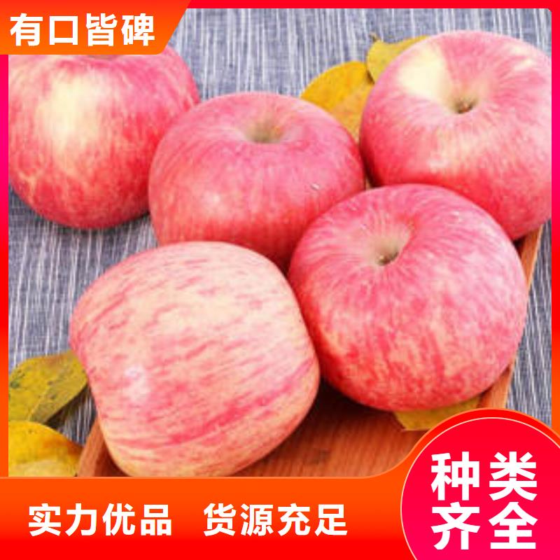推荐商家[景才]红富士苹果苹果种植基地实拍展现