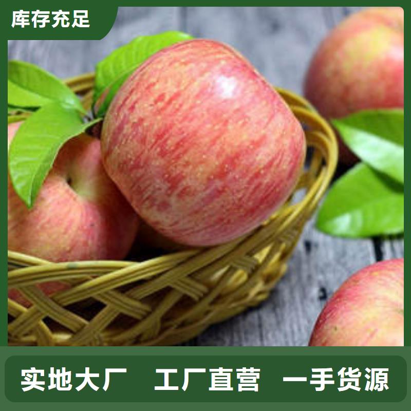 红富士苹果【苹果种植基地】质量三包