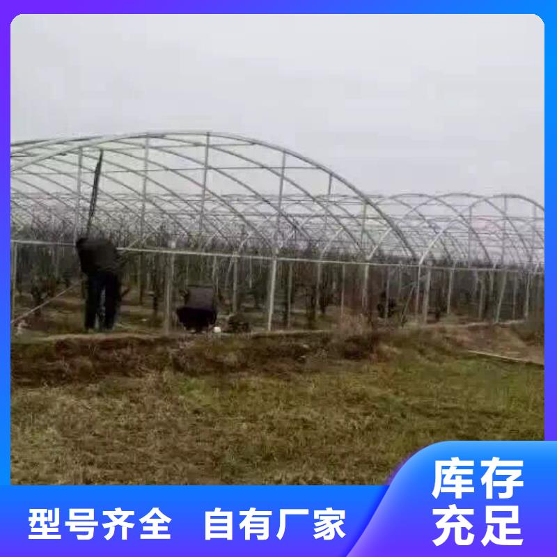 镀锌钢管无缝方矩管现货批发