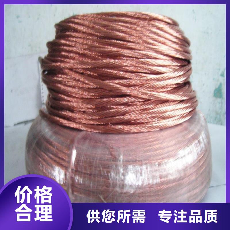 【铜绞线】紫铜带专注生产N年