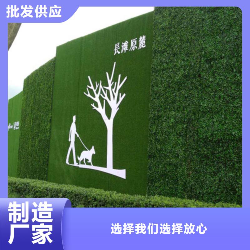 草坪围挡人造草坪围挡厂家实地大厂