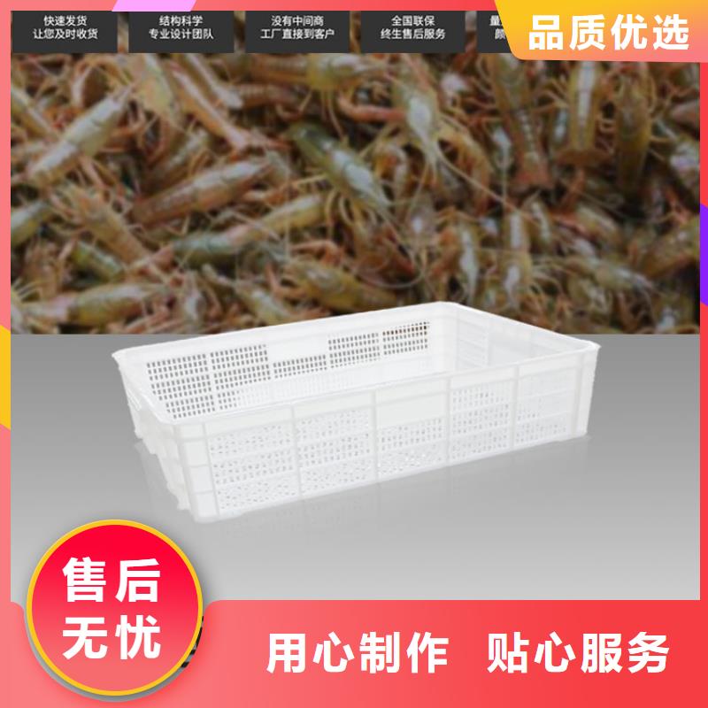 塑料筐_防潮板质优价廉