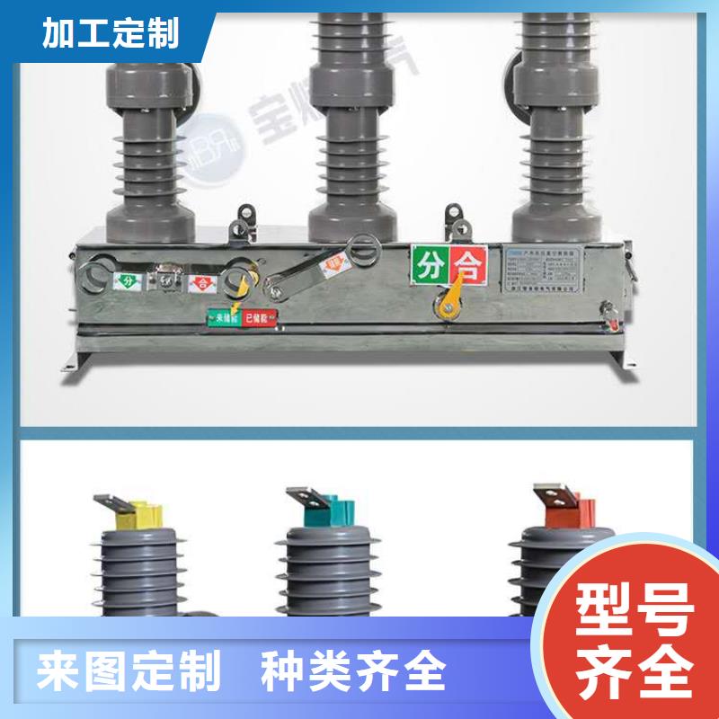 真空断路器HY5WS-17/50避雷器售后无忧