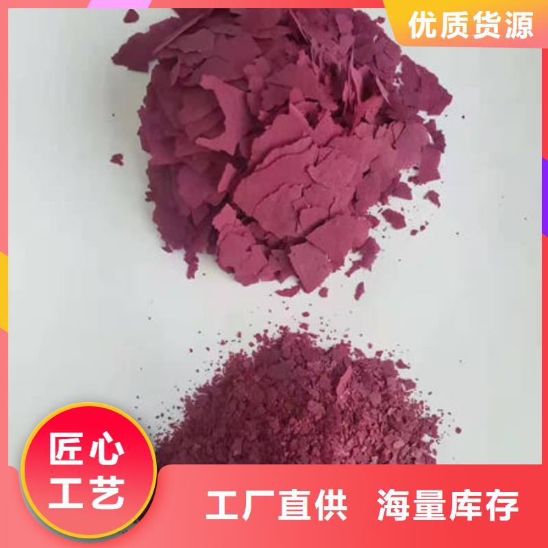 优质原料【乐农】紫地瓜粉来厂考察