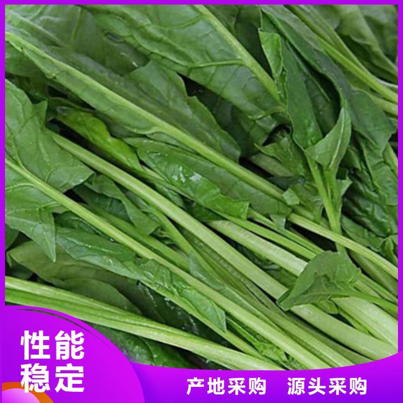 菠菜粉工厂直销