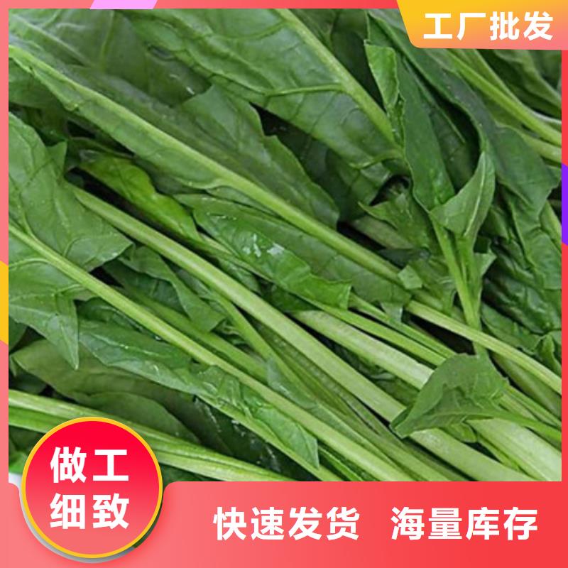 菠菜粉服务为先