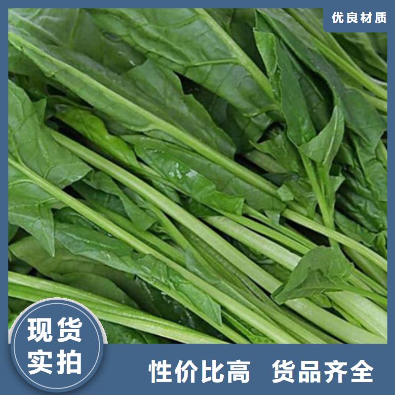 菠菜粉团队