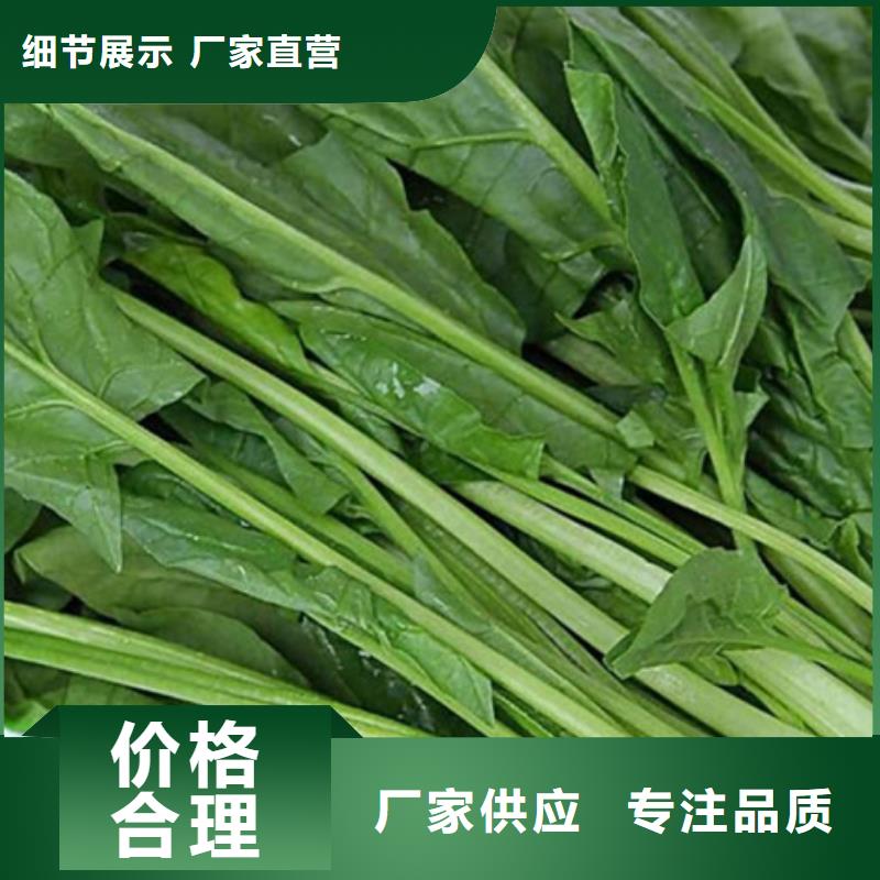 菠菜粉出厂价格