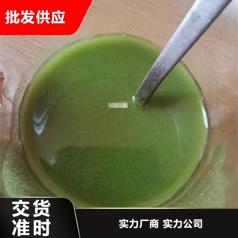 羽衣甘蓝粉末厂家供应