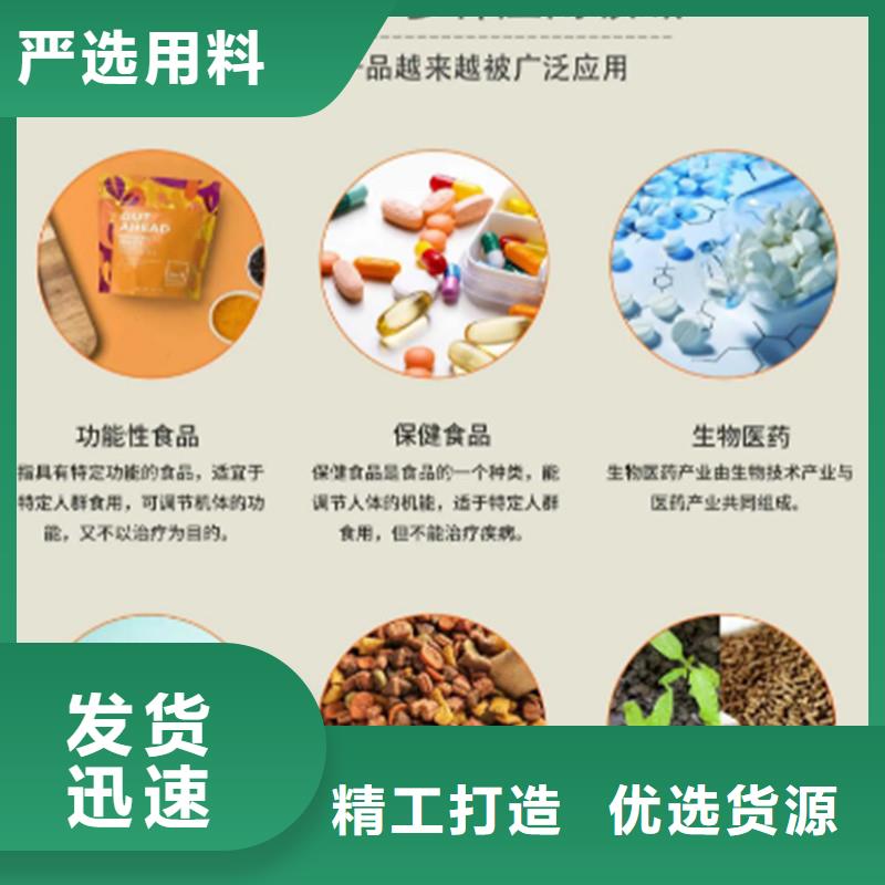 羽衣甘蓝粉批发