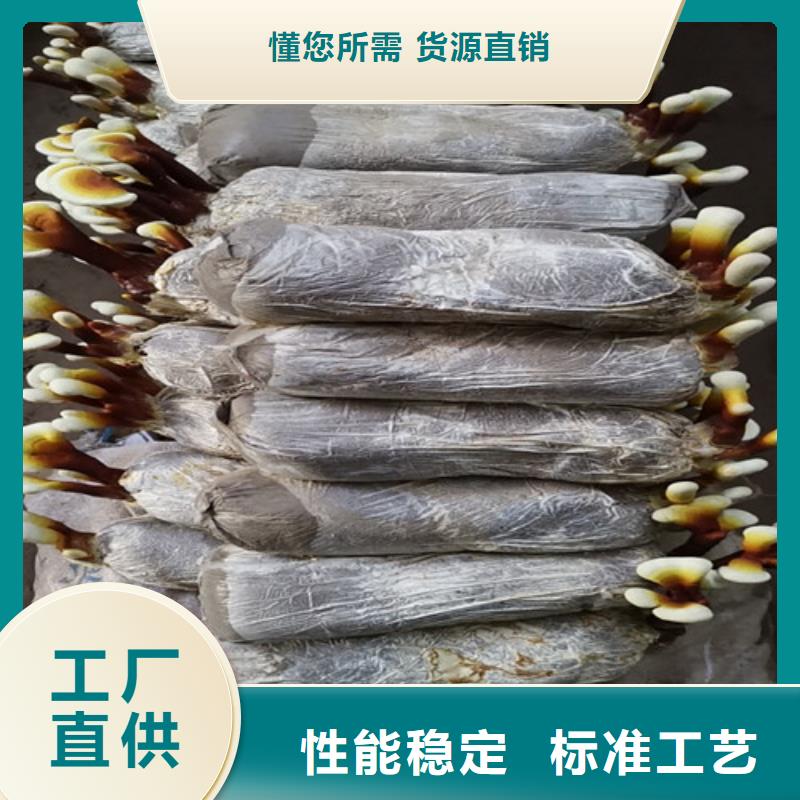 灵芝孢子粉的食用方法工艺精致