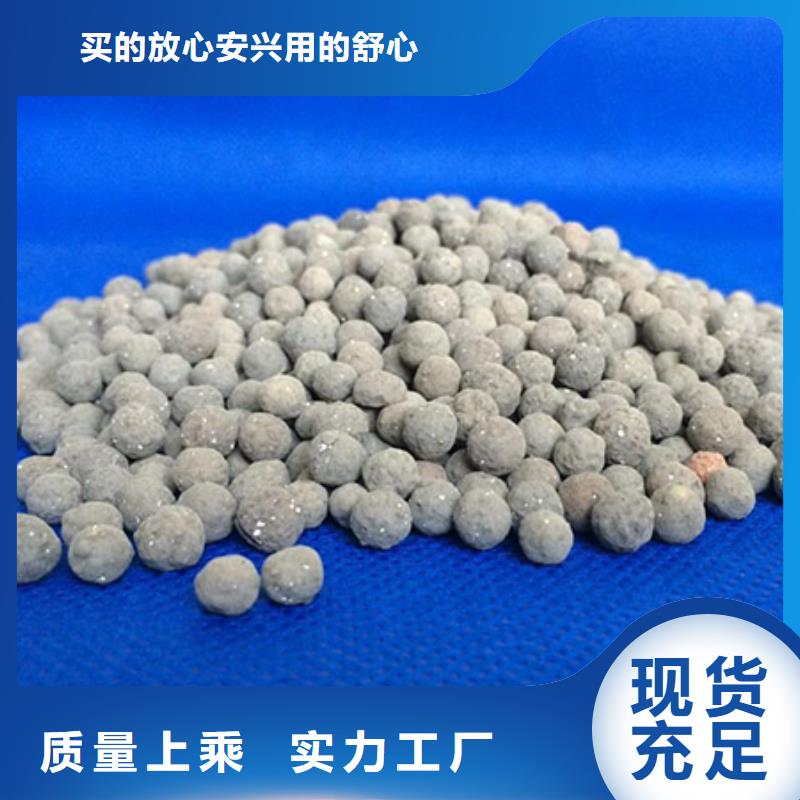 BAF滤池用生物陶粒