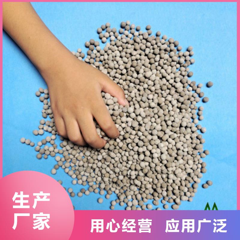 BAF滤池用生物陶粒