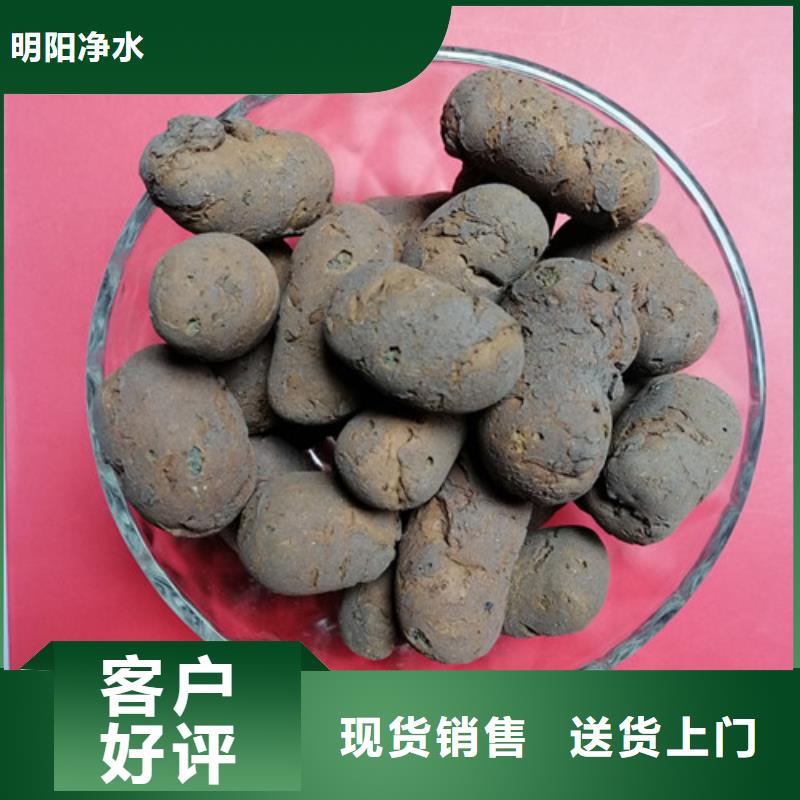 BAF滤池用生物陶粒