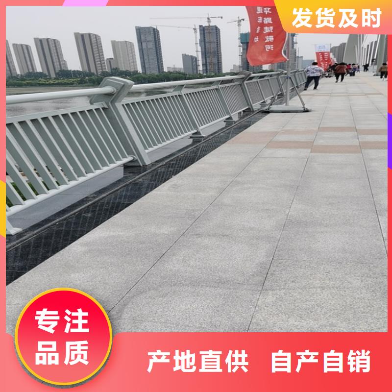 广东专心专注专业展鸿Q235桥梁防撞护栏工艺精湛