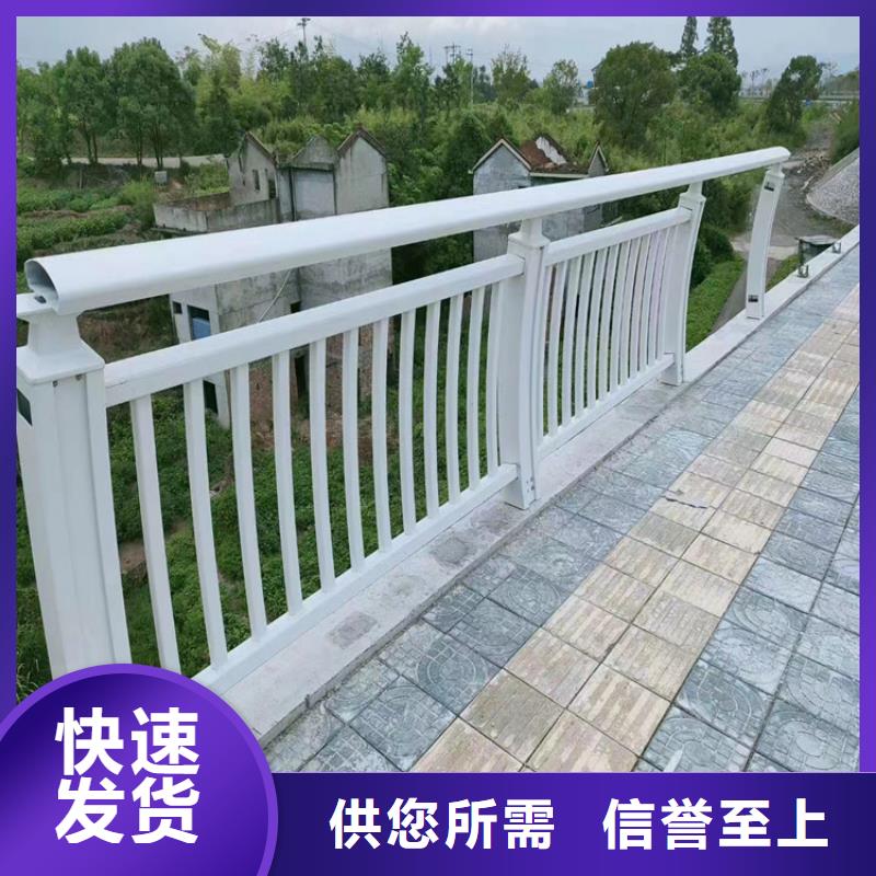 景观河道防撞护栏漆面平整光滑展鸿护栏质量可靠