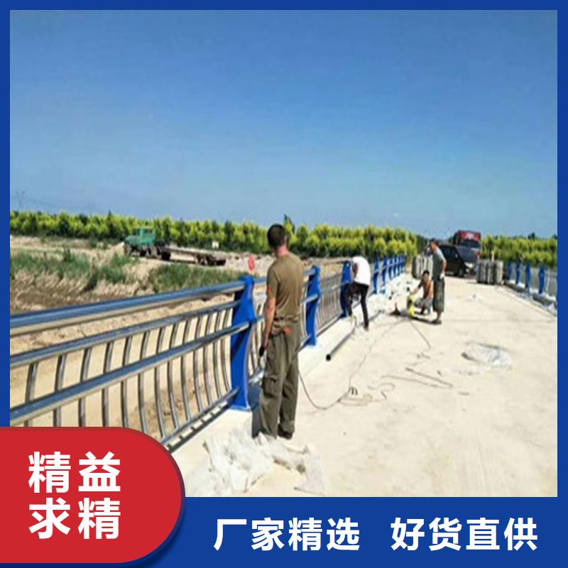 海南省乐东县方管静电喷塑防撞护栏展鸿护栏支持定制