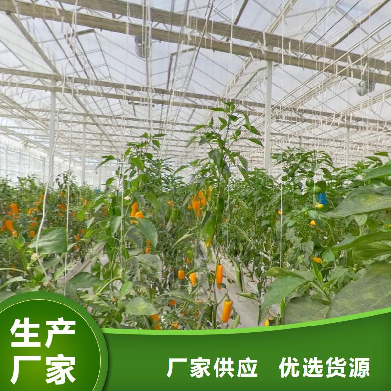 自治区绿色植物大棚管质量优2024