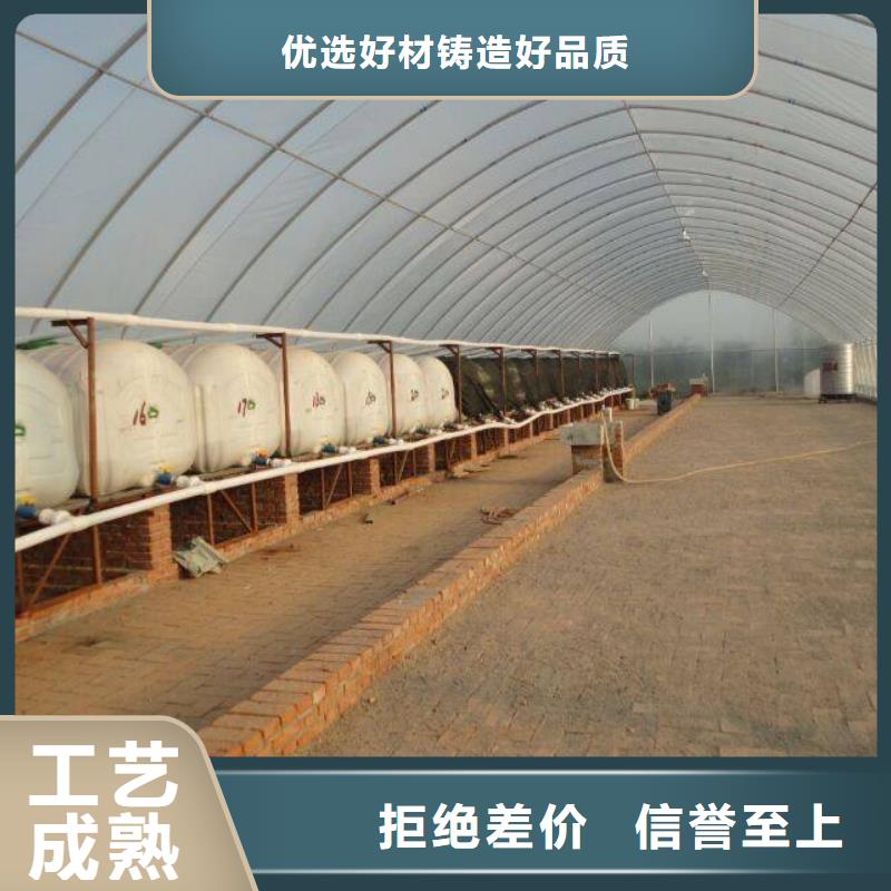 湖南省常德市支持定制贴心售后泽沃定尺大棚管直供厂家2024