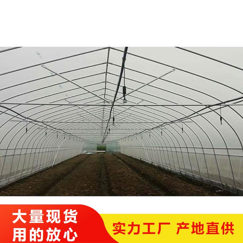 河南省现货采购(泽沃)多跨度骨架钢管可定制2024