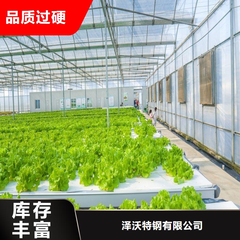 陕县连栋大棚种植近期行情2024