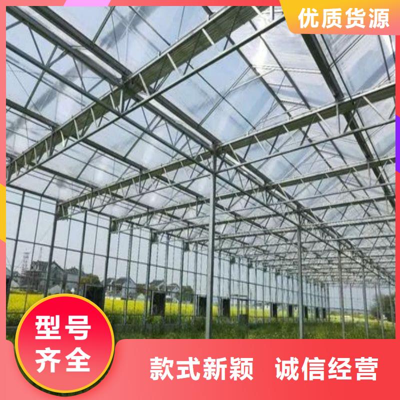 连栋大棚种植择优推荐2024