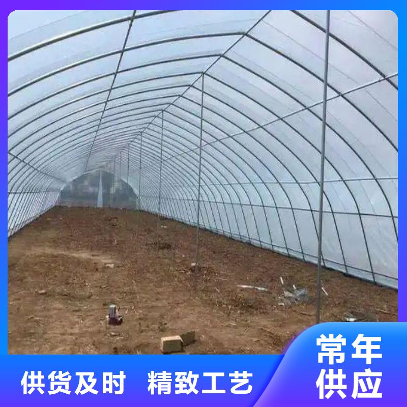 雁江区简易温室种植基地