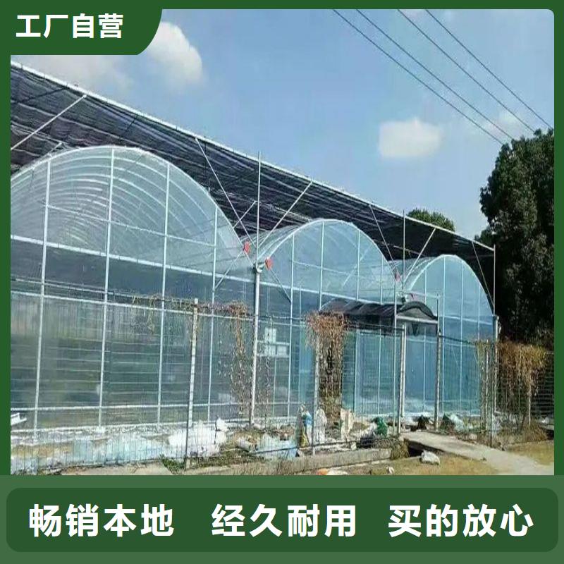 长乐连栋大棚种植询问报价2024