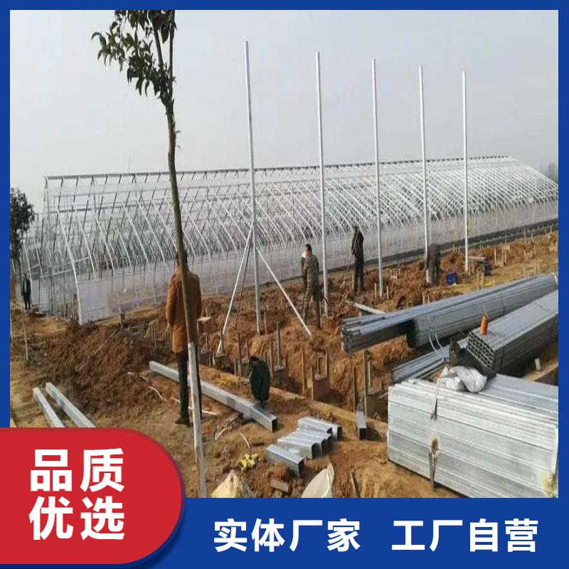 连栋大棚种植择优推荐2024