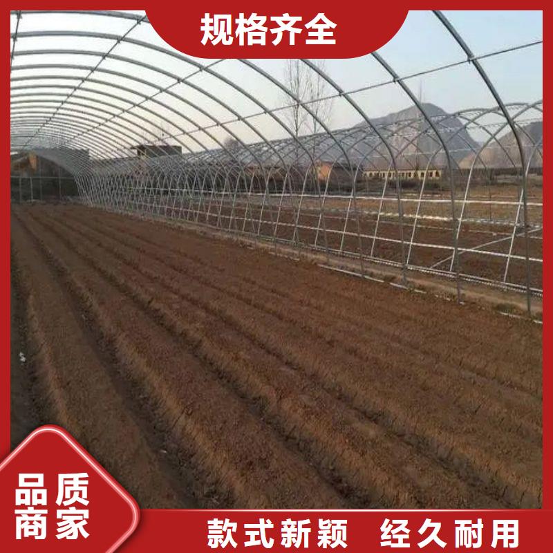 高品质大棚骨架喜欢