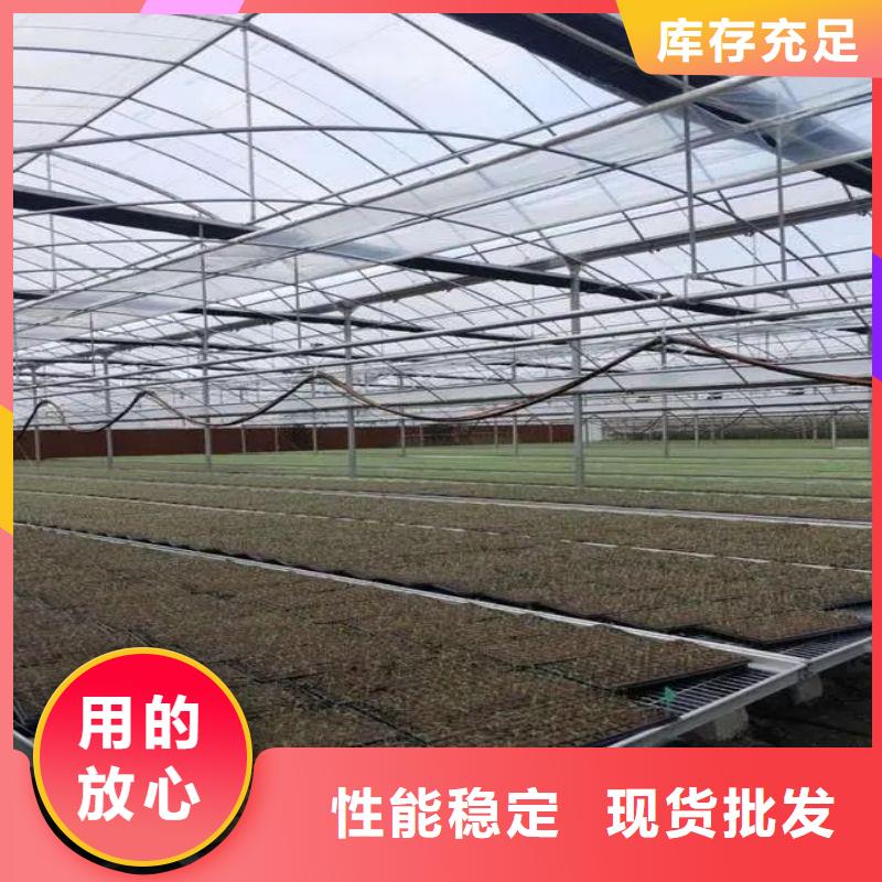 萨迦连栋大棚种植价格行情2024