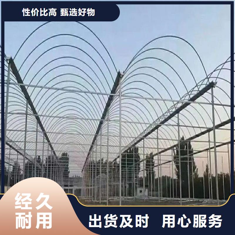 邵东县连体大棚用镀锌管实体厂家