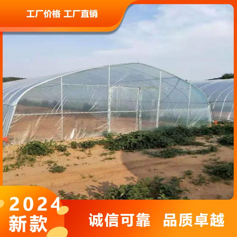 坦洲镇玻璃连栋大棚厂家报价2024