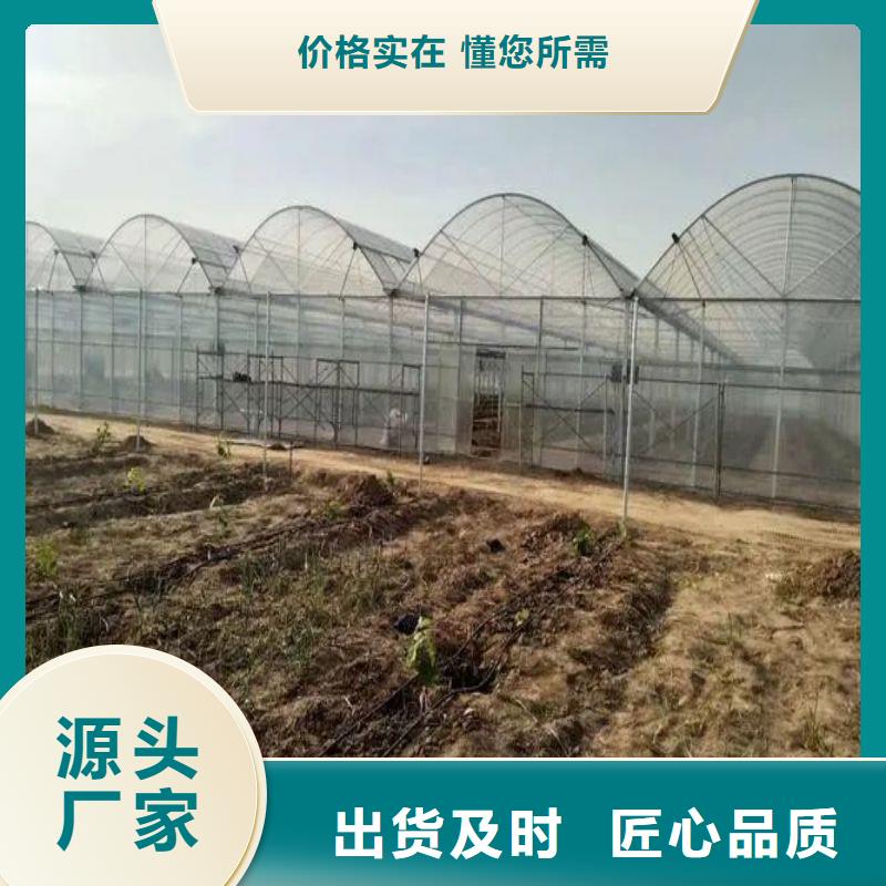 都江堰市蔬菜大棚价格