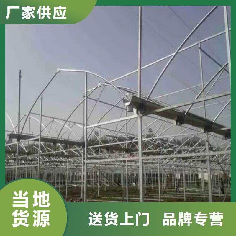 漠河连栋大棚种植质量放心2024