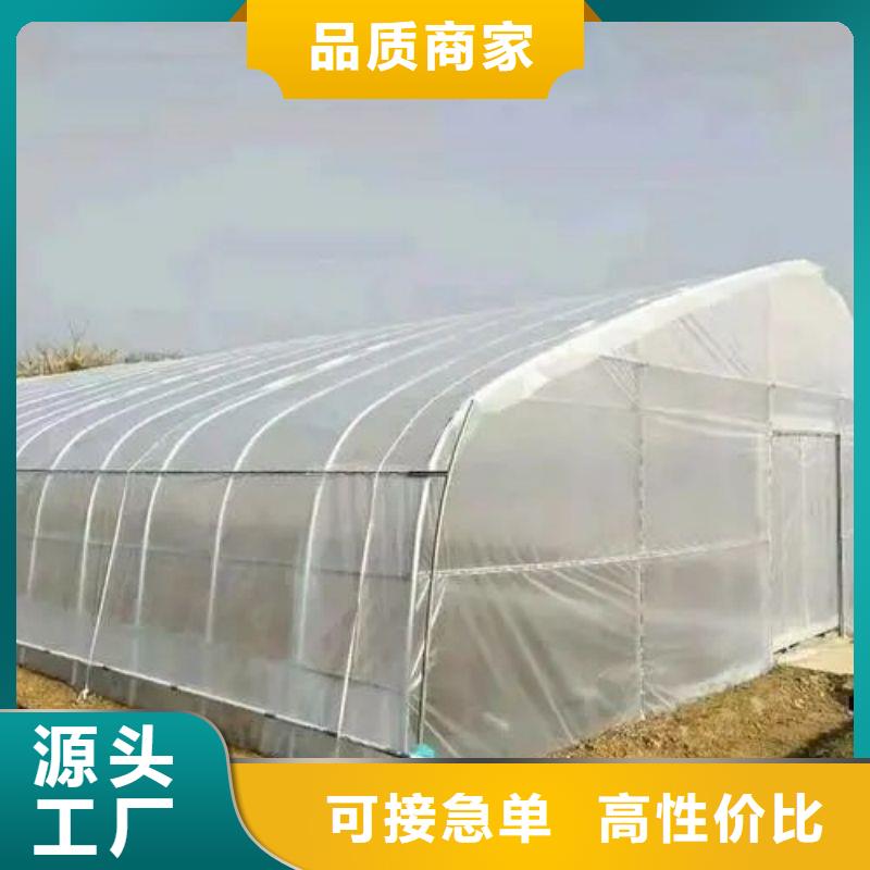 颍州种植单体大棚在线报价