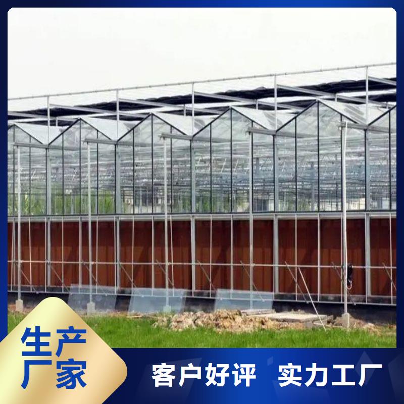 大石桥市秋季冬季大棚种植基地