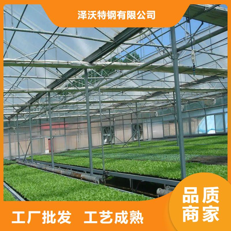 漠河连栋大棚种植质量放心2024