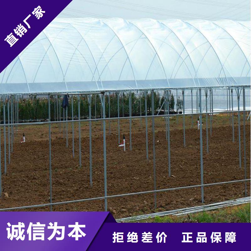 新洲区圆顶温室种植基地