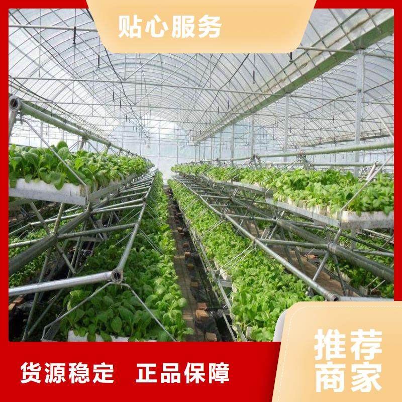 周村连栋大棚种植批发零售2024