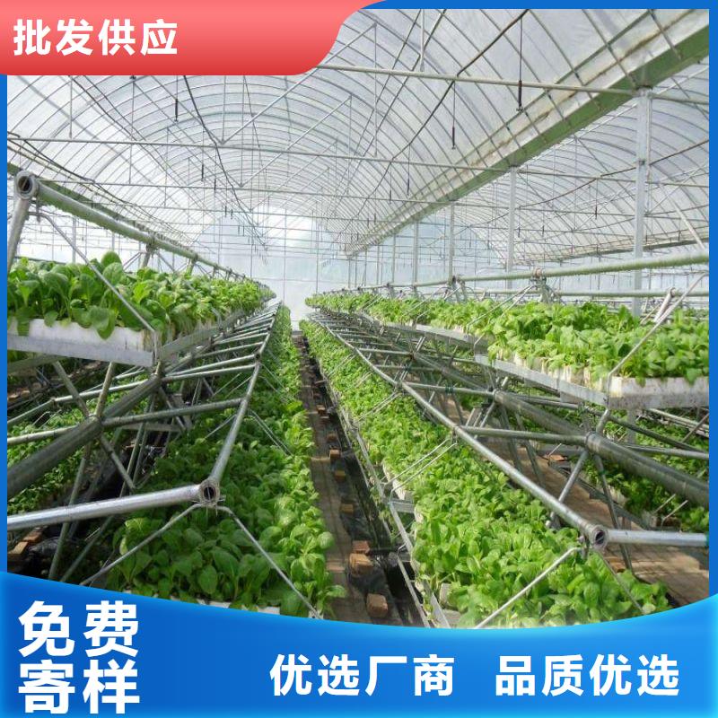 卧龙连栋大棚种植价格行情2024