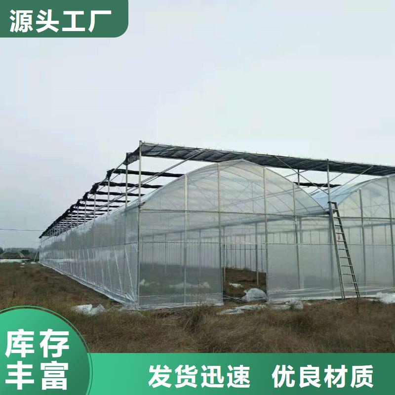 卧龙连栋大棚种植价格行情2024