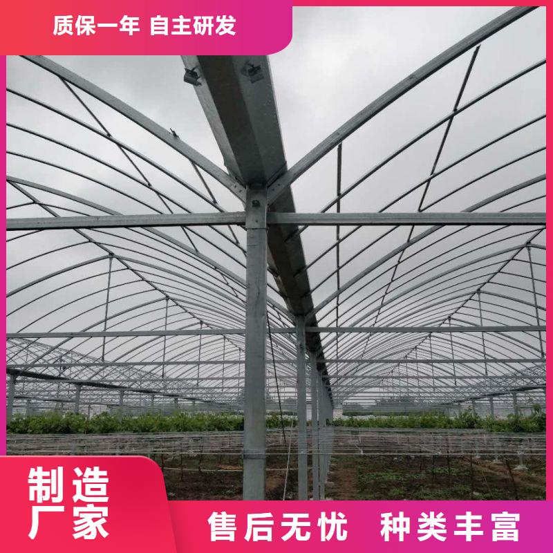 连栋大棚种植质量放心2024