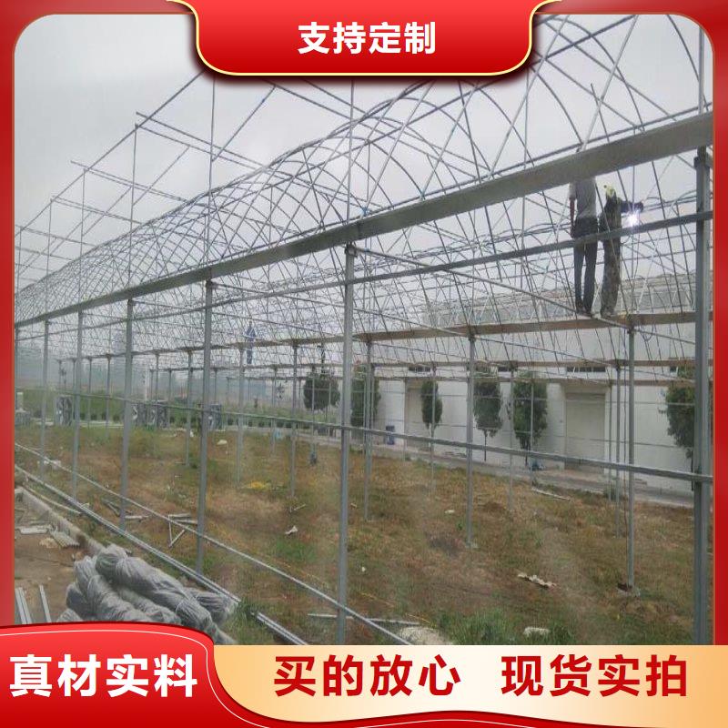 连栋大棚种植质量放心2024