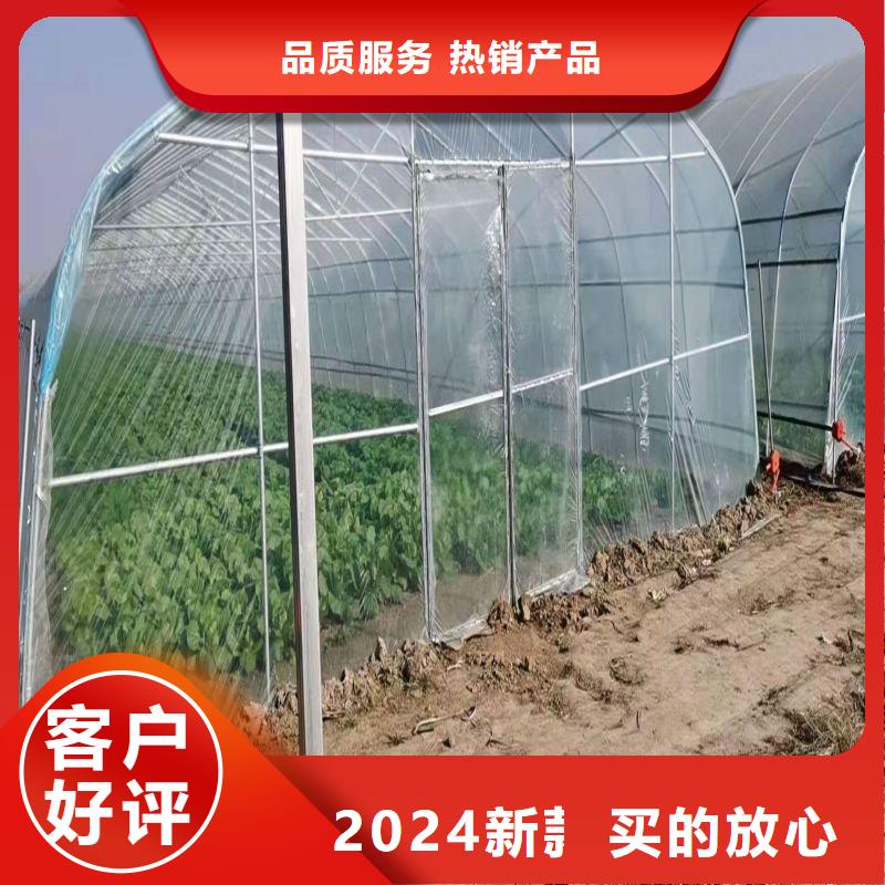 蝶山连栋大棚种植批发价格2024