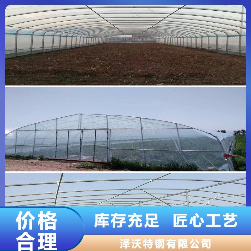 横县连栋大棚种植批发零售2024