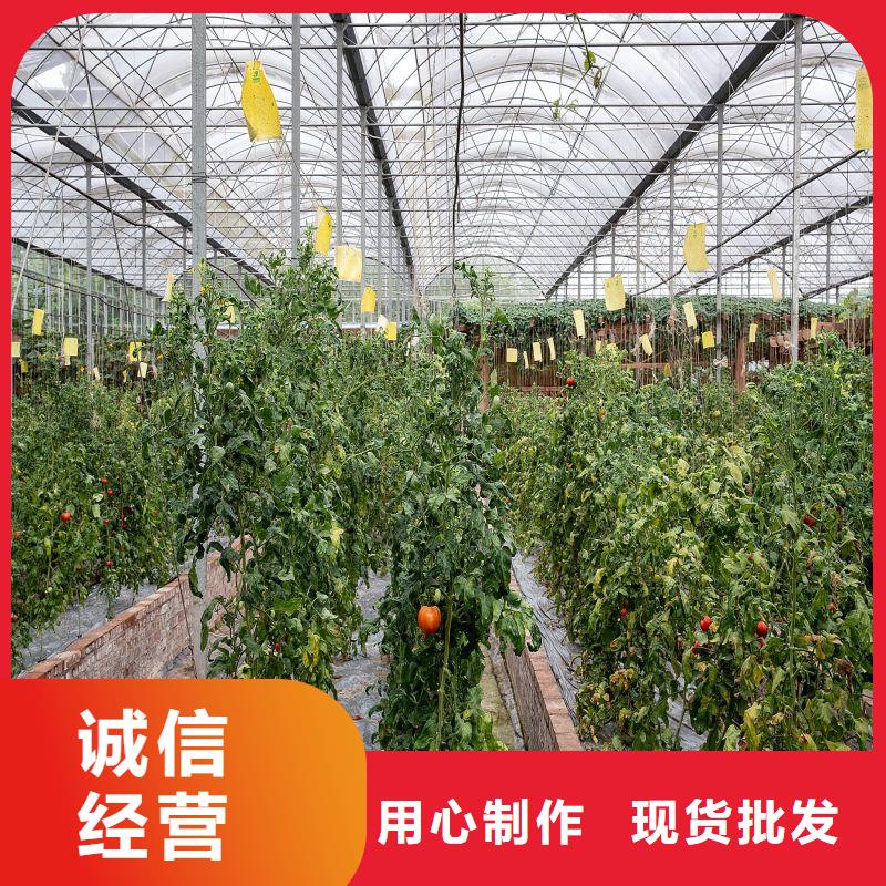 颍州种植单体大棚在线报价