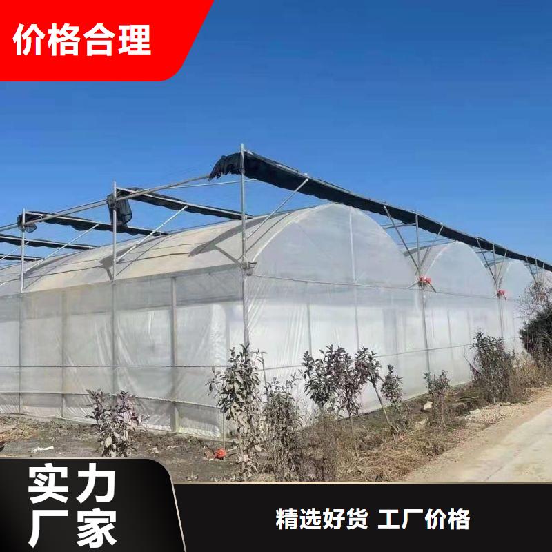 清河门连栋大棚种植价格行情2024