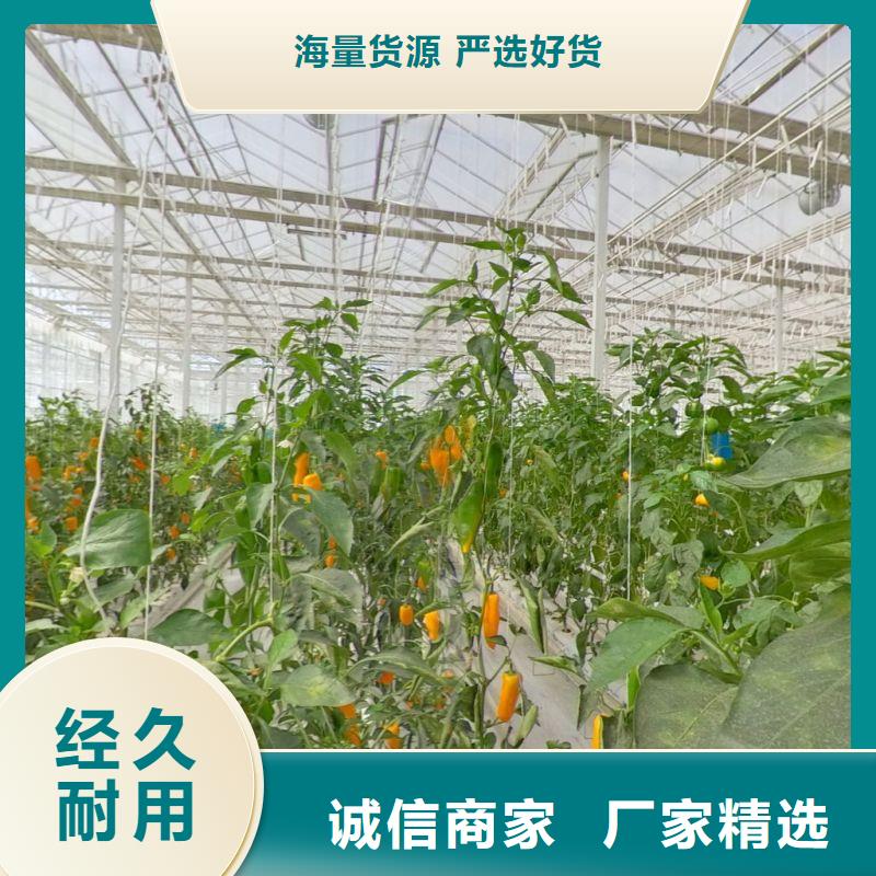 都江堰市蔬菜大棚价格