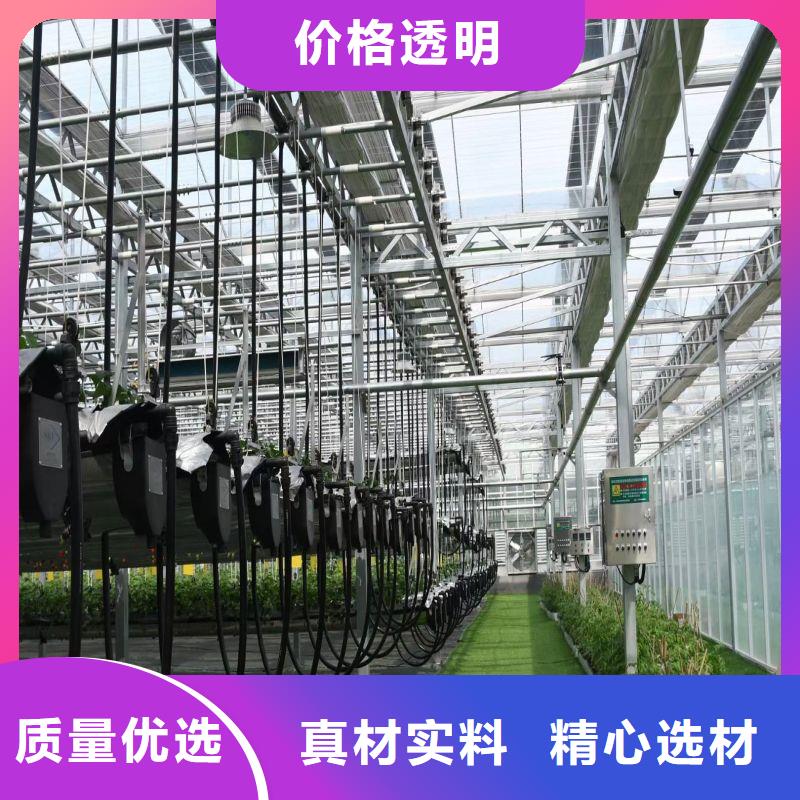 卧龙连栋大棚种植价格行情2024